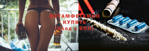 прущие грибы Кулебаки