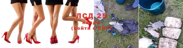 прущие грибы Кулебаки