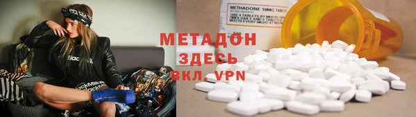 прущие грибы Кулебаки