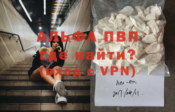 прущие грибы Кулебаки