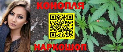 молекула духа Жуковский