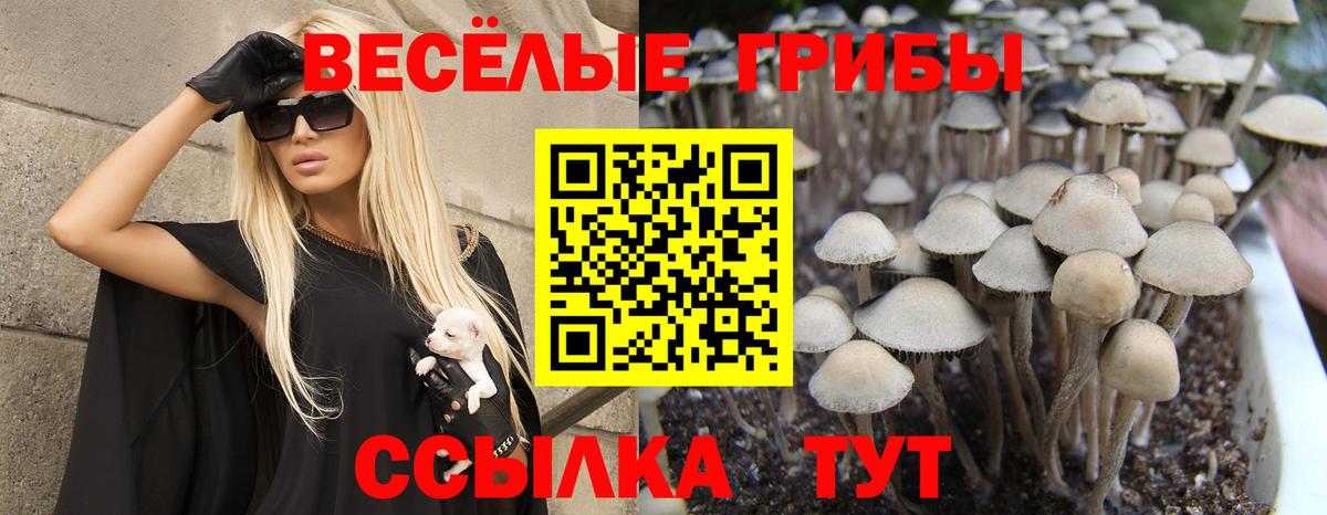 Марихуана  Гашиш  Пенза  Вейп ТГК  Вход с VPN  Экстази  Меф  Купить  Меф МЯУ МЯУ   ГАШИШ  КОКАИН 
