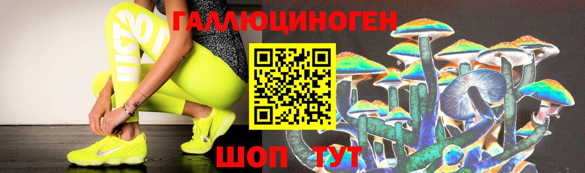 Псилоцибиновые грибы прущие грибы  Пенза 