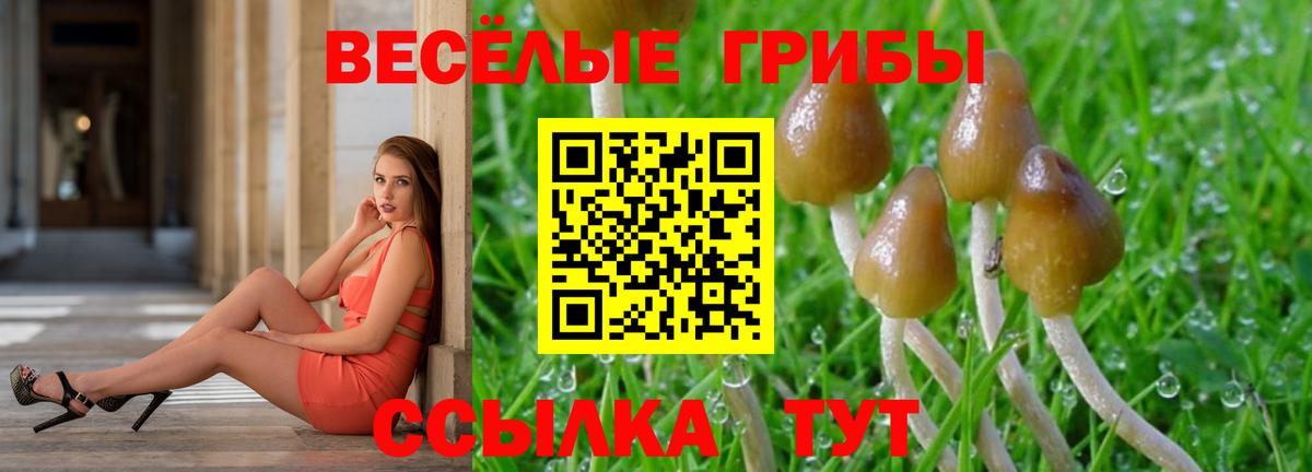 Псилоцибиновые грибы ЛСД  Вход с VPN  Пенза 